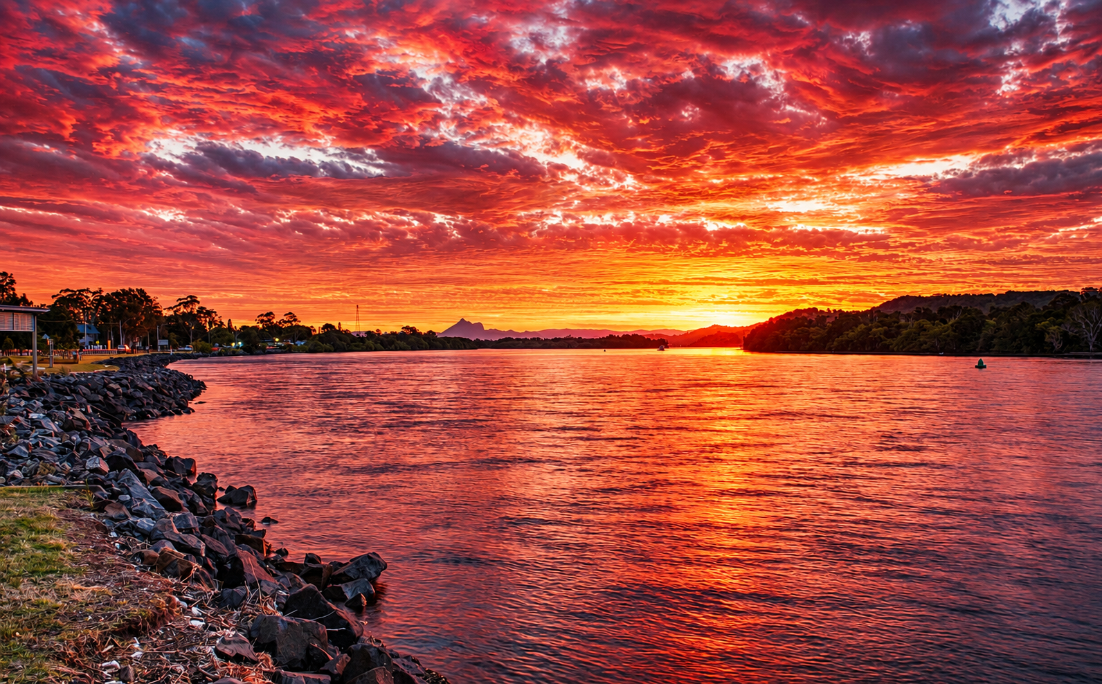 Sunset over the Tweed River with silhouetted trees on the horizon