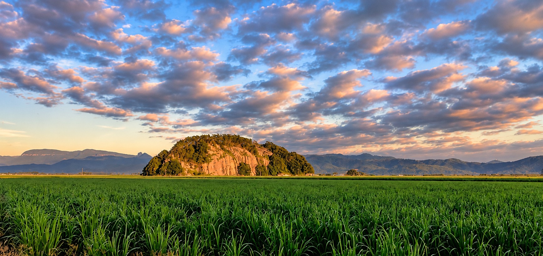Eviron Rock rising above cane fields at sunset